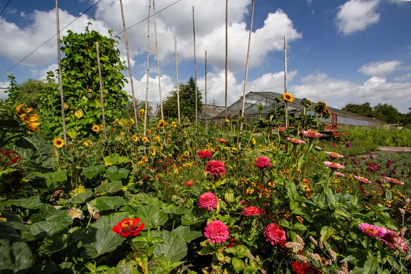 Blick in den Garten der Gärtnerei rhizom
